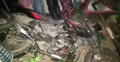 ফরিদপুরে ট্রাকচাপায় মোটরসাইকেল আরোহী নিহত