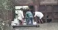 ভাঙা স্লুইস গেটে ঢুকছে নদীর পানি, সিংড়ায় ৬০০ হেক্টর ধান নিয়ে শঙ্কা
