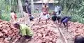 সরকারি সহায়তা না পেয়ে স্বেচ্ছাশ্রমে রাস্তা সংস্কার করলো গ্রামবাসী