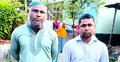 গ্রামে গ্রামে গিয়ে ডলার আয়ের লোভ দেখিয়ে প্রতারণা, ২ ভাই আটক