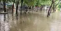 হাতিয়ায় নিম্নাঞ্চল প্লাবিত, লক্ষাধিক মানুষ পানিবন্দি