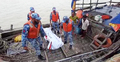 মেঘনায় ট্রলারডুবি: নিখোঁজ শাহজাহানের মরদেহ উদ্ধার