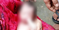 জঙ্গলে কাঁদছিল ফুটফুটে নবজাতক