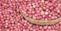 Limited onion imports from Sunday to curb soaring prices