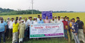বিনা উদ্ভাবিত ধানের জাত নিয়ে মাঠ দিবস অনুষ্ঠিত