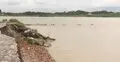 বেড়েছে পানি, ভাঙন আতঙ্কে পদ্মাপাড়ের মানুষ