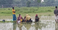 বড়বাড়ি সীমান্তে নারী শিশুসহ ১০ জনকে পুশইনের চেষ্টা
