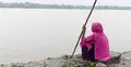 পিরোজপুরে নদীভাঙনে বিলীন বসতভিটা, আতঙ্কে হাজারো পরিবার