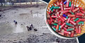 219 shotgun cartridges recovered from police station pond