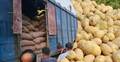 ভারত থেকে এলো আরও দুই হাজার টন আলু