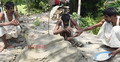 ক্ষুধার জ্বালায় মায়ের সমাধিতে গিয়ে তিন ভাইয়ের খাবার চাওয়ার আকুতি