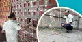 সাপের বিষ আছে ক্রেতা নেই ভেনম ফার্মে