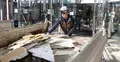 30 injured as Japan quake damages roads, cuts power