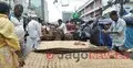 কোরবানির আগে রাজধানীতে হোগলা-খাইট্টার বেচাকেনায় ধুম