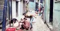 যে তিন কারণে ঈদের পরদিন কোরবানি হয় পুরান ঢাকায়