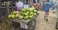 পশুর হাটে ৮০ টাকার ডাব ১৫০!