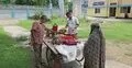 লাম্পি স্কিন রোগে মরছে গরু, টিকার সংকটে উদ্বিগ্ন রাজবাড়ীর খামারিরা