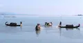 মধ্যরাত থেকে বন্ধ হচ্ছে কাপ্তাই হ্রদে মাছ শিকার