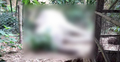 জঙ্গলে পড়ে ছিল বন্যহাতির মরদেহ
