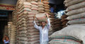 Govt clears rice imports amid bumper harvest, farmers fear price shock