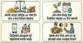 বোরো উৎপাদন সন্তোষজনক, লক্ষ্যমাত্রা অর্জনে সরকারের একগুচ্ছ উদ্যোগ
