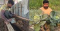 চাকরি ছেড়ে হলেন কৃষি উদ্যোক্তা, পেলেন সফলতা