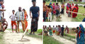 পদ্মার চরে রাসেলস ভাইপার আতঙ্ক