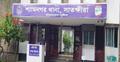 সাতক্ষীরায় ভিমরুলের কামড়ে কৃষকের মৃত্যু