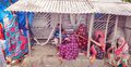 জেলের মৃত্যু ঘিরে অস্থির সাতক্ষীরার বনজীবী পল্লী