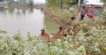 সাতক্ষীরায় বিএনপি নেতাদের নেতৃত্বে সরকারি দীঘির মাছ লুট