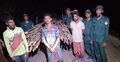 গরান কাঠ পাচারের সময় ৩ চোরাকারবারি আটক