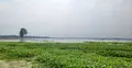 শেরপুরে কমতে শুরু করেছে পাহাড়ি নদীর পানি