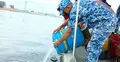 সোনারগাঁয়ে ২ কোটি টাকার জাটকা ও রেণু জব্দ