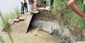 যমুনায় পানি বাড়তেই ভাঙতে শুরু করেছে চরাঞ্চল
