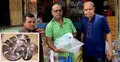 শ্রীমঙ্গলে দোকান থেকে ঘরগিন্নি সাপ উদ্ধার
