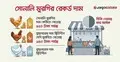 ‘এত দামে মুরগি কোনোদিন কিনিনি’