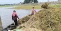 সুনামগঞ্জে আবার বৃষ্টি-বজ্রপাত, ধান নিয়ে দুর্ভোগে কৃষকরা