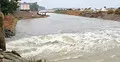সুনামগঞ্জে এবার বাঁধ ভেঙে তলিয়ে গেলো হাওরের ধান