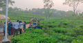 পর্যটকে মুখর সিলেটের লাক্কাতুড়া চা বাগান