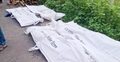 টাঙ্গাইলে থেমে থাকা ট্রাকের পেছনে পিকআপের ধাক্কা, নিহত ৪