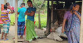 স্ত্রী পালালো যার সঙ্গে তার বউকে বিয়ে করলেন ভুক্তভোগী যুবক