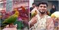 শখ থেকে পাখির ব্যবসা, মাসে বিক্রি ৩ লাখ