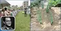 দাফন সম্পন্ন হয়েছে অভিনেতা তারিকুজ্জামান তপনের