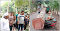মেয়রের সহায়তায় সরকারি গাছ জব্দ করলেন ইউএনও