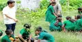শিক্ষার্থীদের দিয়ে চারার পরিবর্তে ডাল রোপণ, প্রধান শিক্ষক বরখাস্ত