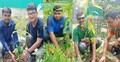 বিপন্ন শালবনে তারুণ্যের বৃক্ষরোপণ অভিযান