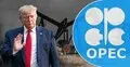 ওপেক থেকে আমিরাতের বেরিয়ে যাওয়া কেন ট্রাম্পের জন্য ‘বড় জয়’?
