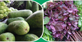 রংপুরে সবজির দাম কমলেও বেড়েছে শাকের