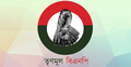 উপজেলা নির্বাচনেও অংশগ্রহণ করবে তৃণমূল বিএনপি