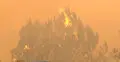 Wildfires force over 300,000 to flee in France and Spain